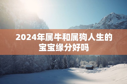 2025年属牛和属狗人生的宝宝缘分好吗