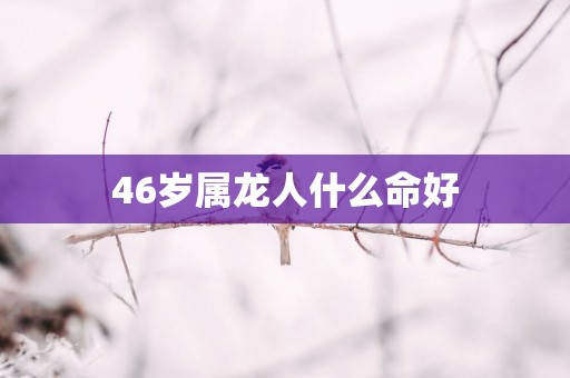 46岁属龙人什么命好