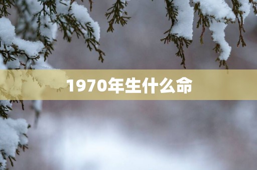 1970年生什么命