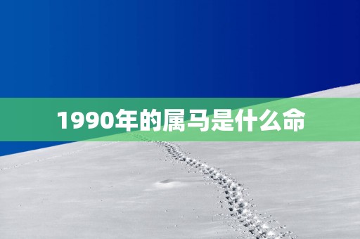 1990年的属马是什么命