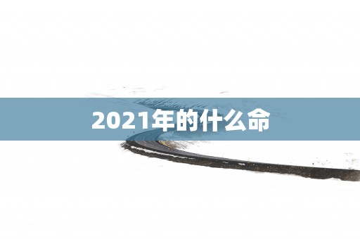 2025年的什么命