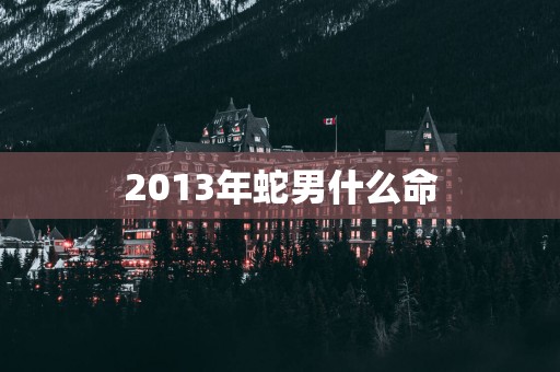 2013年蛇男什么命