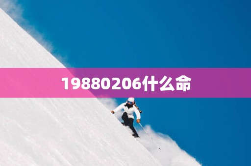 19880206什么命