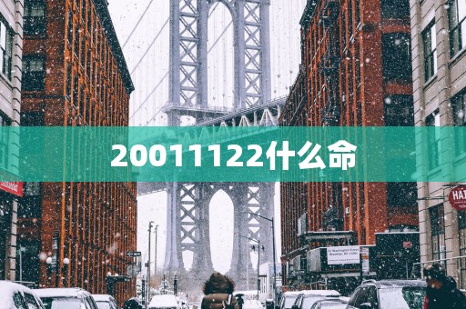 20011122什么命