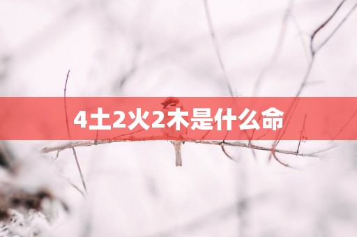 4土2火2木是什么命