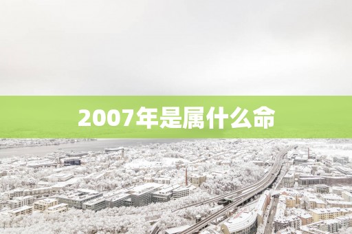 2007年是属什么命