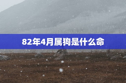 82年4月属狗是什么命