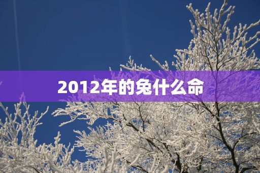 2012年的兔什么命