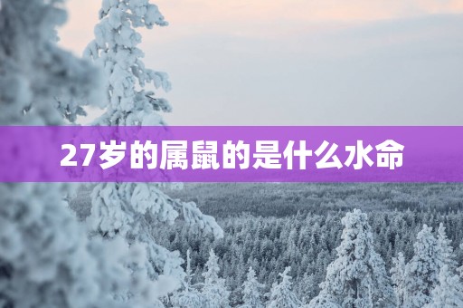 27岁的属鼠的是什么水命