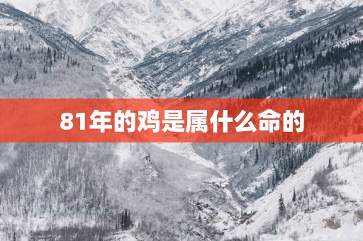 81年的鸡是属什么命的