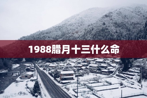 1988腊月十三什么命