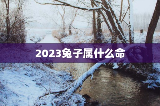 2025兔子属什么命