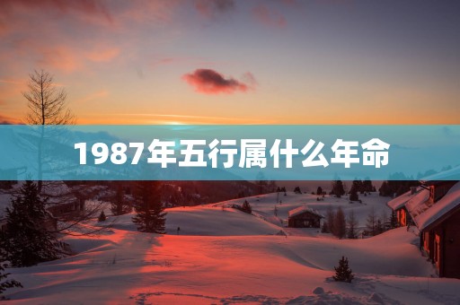1987年五行属什么年命