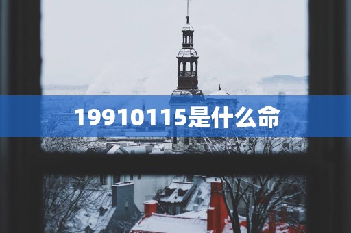 19910115是什么命