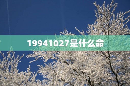 19941027是什么命