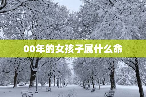 00年的女孩子属什么命