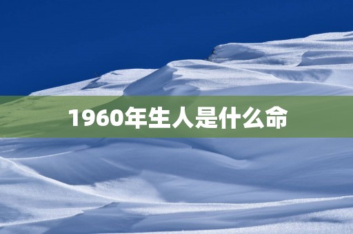 1960年生人是什么命