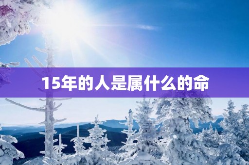 15年的人是属什么的命