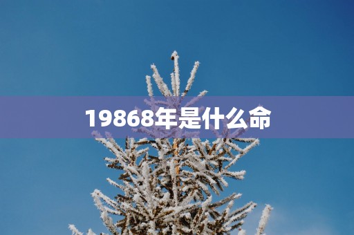 19868年是什么命