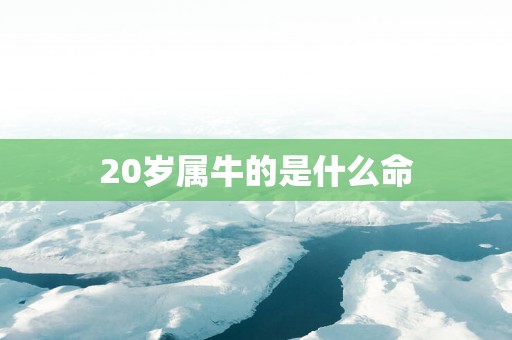 20岁属牛的是什么命
