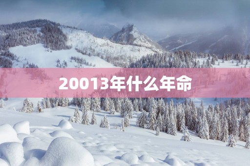 20013年什么年命