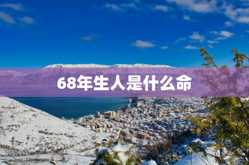 68年生人是什么命