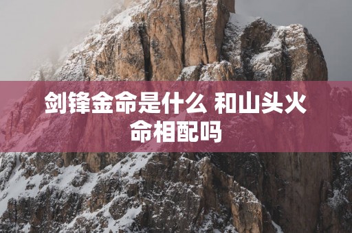 剑锋金命是什么 和山头火命相配吗