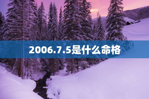 2006.7.5是什么命格