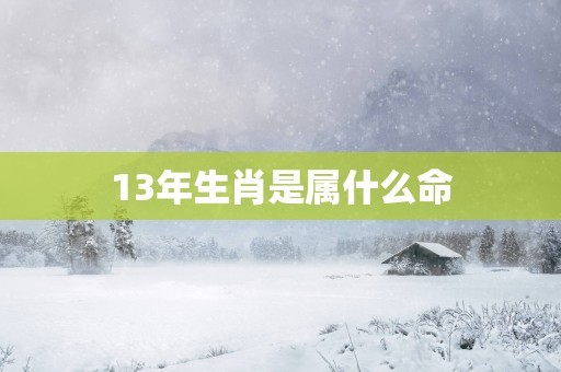 13年生肖是属什么命
