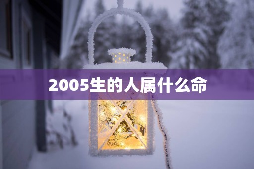 2005生的人属什么命