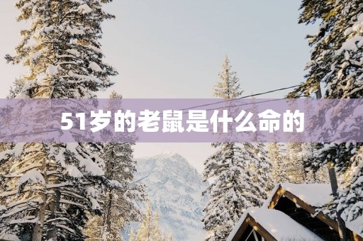 51岁的老鼠是什么命的