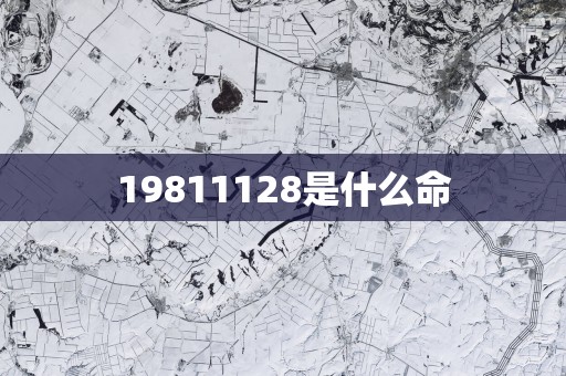 19811128是什么命