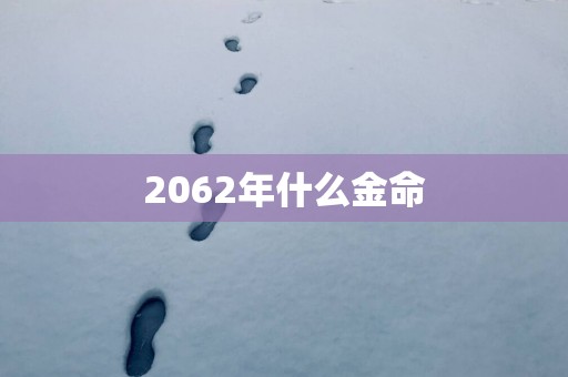 2062年什么金命