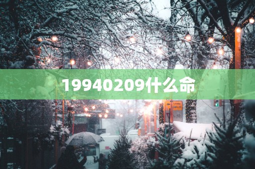 19940209什么命