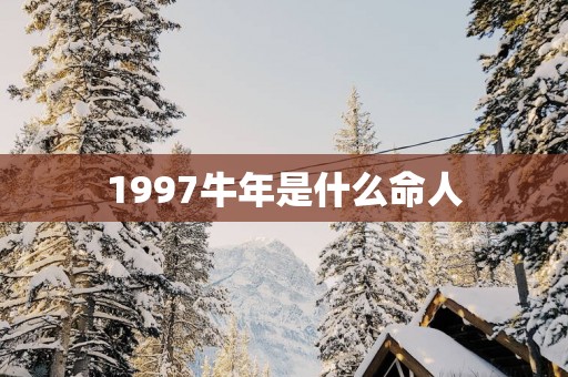 1997蛇年是什么命人