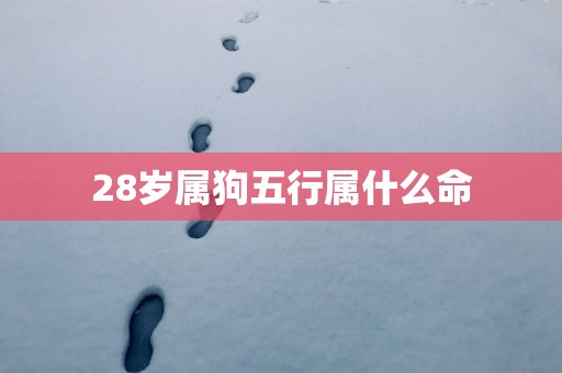 28岁属狗五行属什么命