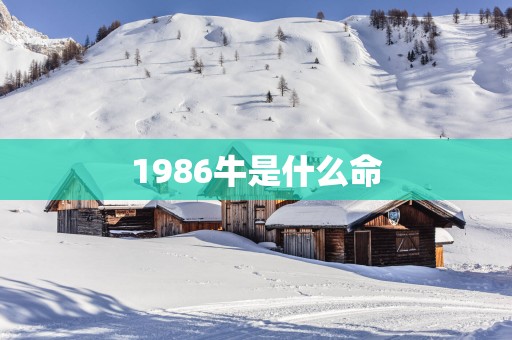 1986牛是什么命