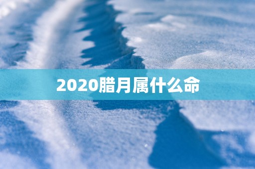2025腊月属什么命