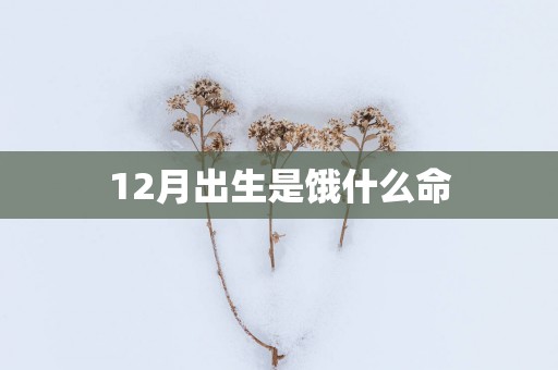 12月出生是饿什么命