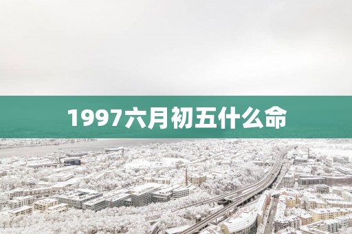 1997六月初五什么命