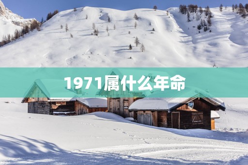 1971属什么年命