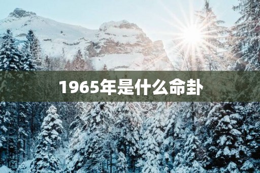 1965年是什么命卦