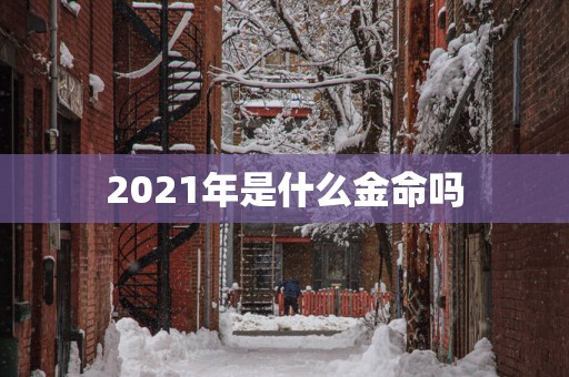 2025年是什么金命吗