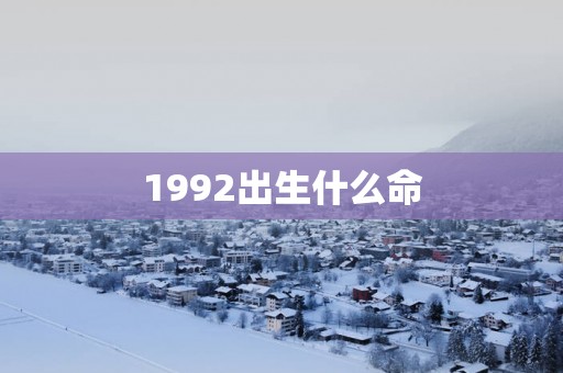 1992出生什么命