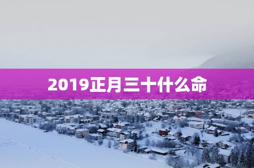 2019正月三十什么命