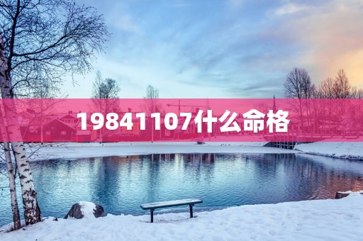 19841107什么命格