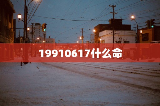 19910617什么命