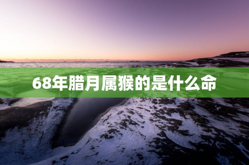 68年腊月属猴的是什么命
