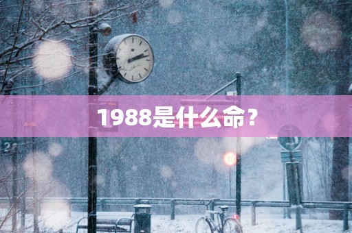 1988是什么命？