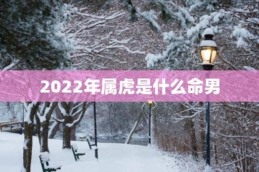 2025年属虎是什么命男